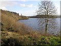 Lough Macnean Upper, County Fermanagh