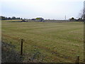 Pasture land at Court Farm