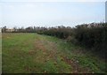 Field boundary - Clay Farm