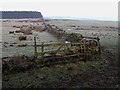 NY8671 : Rough pasture near High Teppermoor by Oliver Dixon