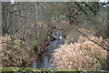 The Lemno Burn upstream from the Bridge near Bogindollo