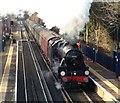 Steam excursion to Canterbury