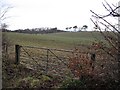 Farmland, Gowanbank