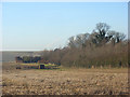 Farmland, Ewelme