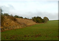 Railway embankment near Birdingbury