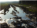 Muddy track with icy puddle, Ewelme