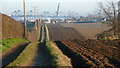 Shotley - rolling fields