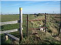 Stile on Sea Wall