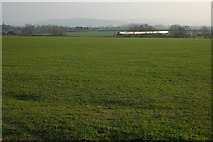 SO9236 : A train passing near Bredon by Philip Halling