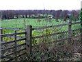 View north-east from Upper Mill Lane, near Prestbury