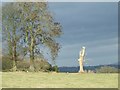 White tree near Llanelidan