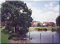 Hallaton pond