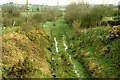 Old railway near Banbridge (2)