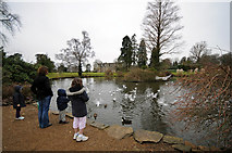 TQ3331 : Feeding the Birds at Wakehurst Place by Kerrie Finch