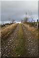 Farm track near Loch of Lintrathen