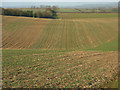 Farmland, Watlington