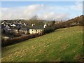 Buckfastleigh from Church Steps