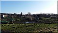 Asquith Road Allotments