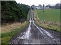 Farm track near Bays Leap Farm