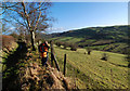 Track with a view