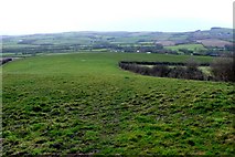 SY5490 : Farmland near Litton Cheney by Nigel Mykura