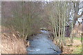 NO5650 : Lunan Water downstream from Guthrie Bridge by Alan Morrison