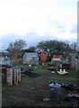 Weald Allotments