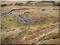 Sheepfold beside the Afon Aman