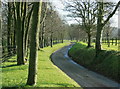 2009 : A fine avenue on Euridge Lane