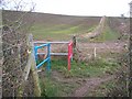 Coloured Gates at footpath junction