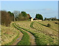 2009 : Truckle Hill Barn