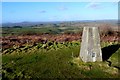 Summit of Shipton Hill