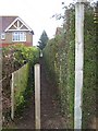 Path on Hearts Delight Road, looking north-east