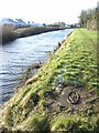 O0237 : Fishing spot on the Royal Canal near Lucan by JP