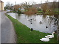 East Creech: the pond