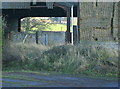 2009 : View through at Elliots Farm