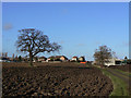 Field near Wood Farm