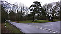 The bus shelter on the green at Linchmere