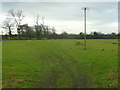 Sheep pasture between the M5 and A38