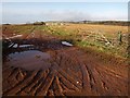 Muddy gateway, Cheddon Down