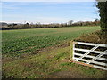 Field entrance from the old Dover Road