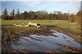 Muddy field entrance