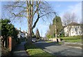 Oakwell Mount - viewed from Oakwell Crescent