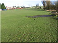 Across playing fields at Stamford Park