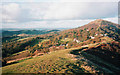 Autumn colour on Perseverance Hill