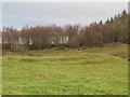 NY8871 : (The site of ) Milecastle 29 - Tower Tye by Mike Quinn
