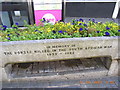 Horse trough, Jury Street