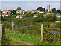 Langport  from the Parrett riverbank