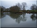 Langley Loch from the Weir