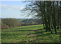 2009 : South east near Euridge Lane